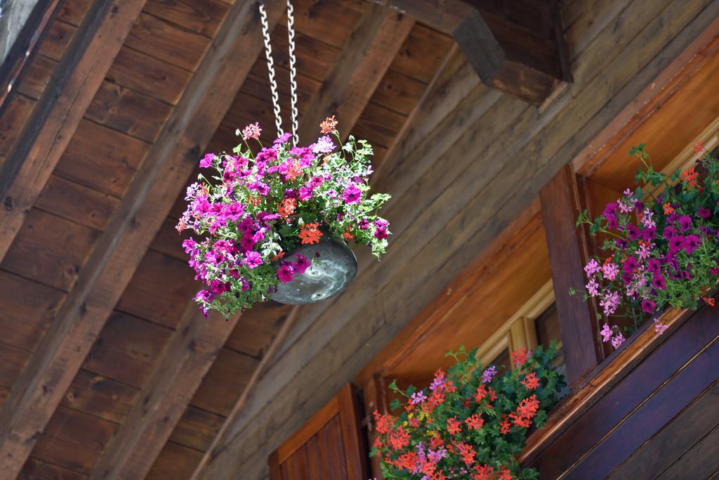 Hotel Les Melezes Haudères Zewnętrze zdjęcie
