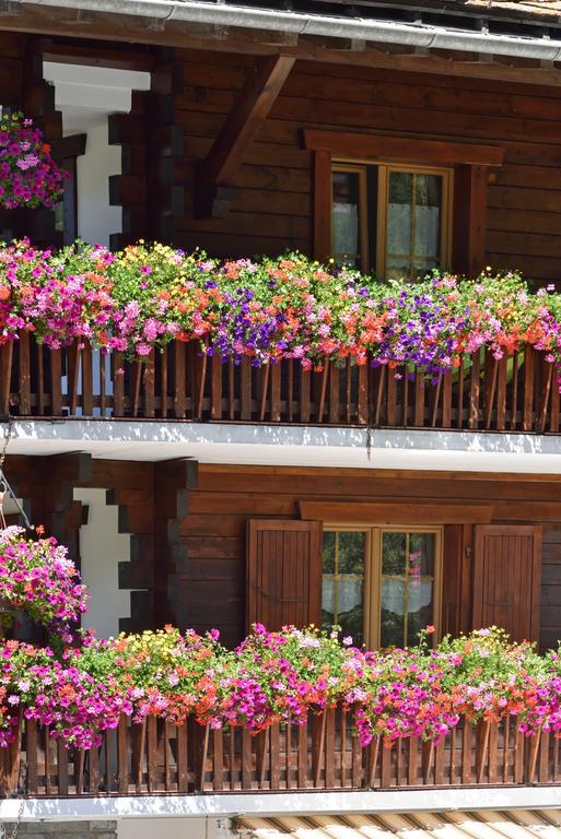Hotel Les Melezes Haudères Zewnętrze zdjęcie